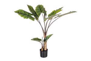 DIEFFENBACHIA zöld művirág 134 cm