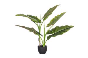 DIEFFENBACHIA zöld művirág 78 cm