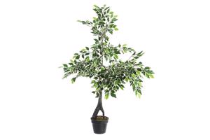 VARIEGATED FICUS zöld műanyag (pe) művirág